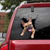 20 x Brand New zhushuGG Dog Car Sticker - Frenchie Bulldog Sticker for Wall 30CM, Refrigerator 3D Sticker, 3D Car Sticker Dog Wall Sticker Funny Decoration Styling Cute Dog Decal C, 11.8 x 11.8 inches  - RRP €120.8