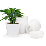 1 x RAW Customer Returns KINGLAKE 8 pieces 10 cm flower pots with hole, small cactus pots, plastic round plant pots, flower pot with saucer for office balcony, white - RRP €14.36