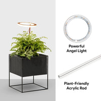 27 x Brand New Pink Vale - Grow Light for Indoor Plants One or Two Rings - USB Powered, White Light One Ring  - RRP €593.46