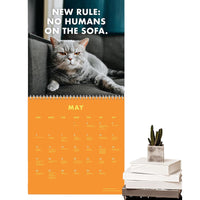 3 x Brand New 2024 Pissed-Off-Cats Calendar,Cute Funny Cat Wall Calendar for Hanging,Monthly Size,Decorative Funny Wall Art,Gift for Cat Lovers - RRP €35.34