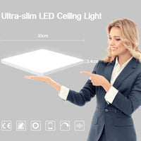 1 x RAW Customer Returns Eregou 24W LED Ceiling Light Dimmable, App Smart Ceiling Lamp LED Panel, 2400LM Wifi Light for Bedroom Living Room Office Kitchen, Compatible with Alexa Google Assistant - RRP €29.2