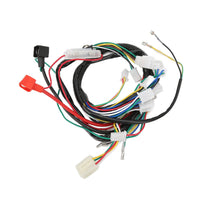 1 x RAW Customer Returns Quad Wiring Harness, Complete Wiring Harness CDI Wiring Harness Replacement for 50cc 70cc 90cc 110cc 125cc ATV Quad Dirt Bike Go Kart Parts - RRP €36.14