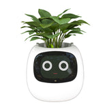 1 x RAW Customer Returns Masdio Smart Flowerpots, with Artificial Intelligence, Time Temperature Display, and Numerous Expressive Animations Based On The Environment, for Interior Decoration White  - RRP €93.19