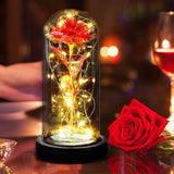 12 x Brand New Punvot Eternal Rose Beauty and the Beast, Gift Ideas for Women, Mom for Original Birthday, Stabilized Glass Dome, with LED - RRP €200.64