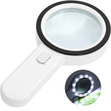 1 x RAW Customer Returns Magnifying Glass with Light, 30X Professional Magnifying Glass with 12 LEDs for Reading, Inspection, Exploration, Elderly, Jewelers, Children Silver Button  - RRP €14.39