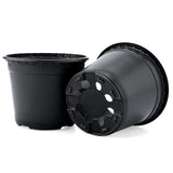 1 x RAW Customer Returns KINGLAKE Pack of 100 15 cm plant pots, plant pots, cultivation flower pot, plastic cultivation pots, plastic pots, plants, garden, round for seeds, juicy flowers, black - RRP €23.3