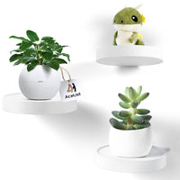 1 x RAW Customer Returns AceList wooden wall shelf - floating shelf, round wall shelf - small wall shelf - shelves, wall shelves - decorative shelf, plant shelf, wooden shelf - wall board, hanging shelf - set of 3 - white diameter 15cm  - RRP €29.99