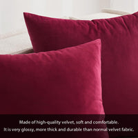 1 x RAW Customer Returns MIULEE Velvet Cushion Cover Pillow Case Cushion Covers Sofa Cushion Decorative Throw Pillows Couch Cushion Decorative Cover for Sofa Living Room Bedroom Set of 2 26 x 26 Inch 65 x 65 cm Wine Red - RRP €22.99