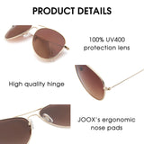 1 x RAW Customer Returns JOOX Round Retro Polarized Sunglasses for Women Men, UV400 Protection Glasses with Metal Frame for Unisex - RRP €21.99