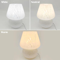 1 x RAW Customer Returns MLOQI Mushroom Table Lamp for Living Room Bedroom Lights Glass Nightlight with a 3 Color Bulb, Night Light, Bedside Lamp Gifts for Friends Mini Lamp White B  - RRP €36.99