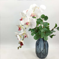 1 x RAW Customer Returns FagusHome 4 pieces artificial Phalaenopsis orchid flowers 105CM artificial orchid flowers stem plants for decoration white pink  - RRP €21.6