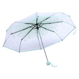 1 x Brand New plplaaoo Folding Umbrella, Rain Umbrella-Weather Resistant, Men High Quality Compact Strength Rain Resistant Travel Umbrella, with 8 Ribs Rain Umbrella Green  - RRP €22.8