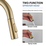 1 x RAW Customer Returns Saeuwtowy Detachable Kitchen Faucet 2 Functions 360 Rotatable with Mixer Tap Gold - RRP €47.75