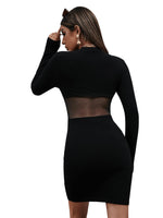 1 x RAW Customer Returns GORGLITTER Figure-hugging dress, short dress with mesh, women s sexy mini dress, rib-knit dresses, long-sleeved dress with mesh fabric, black XS - RRP €30.24