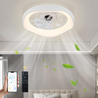 1 x RAW Customer Returns EIDEARAY Modern ceiling fan with lighting and remote control quiet LED ceiling light, 36W ceiling fan dimmable lamp with fan for living room, dining room, bedroom - RRP €40.32