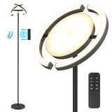 1 x RAW Customer Returns FIMEI floor lamps, floor lamp with movable light ring, living room lamp 4 color temperatures and continuous dimming, floor lamp with remote control and tactile control PY-F1205, black  - RRP €80.66