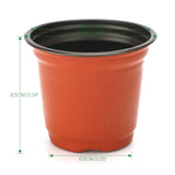 1 x RAW Customer Returns KINGLAKE 100 pieces 10 cm plant pots plant pots cultivation flower pot plastic small cultivation pots plastic pots plants garden round for seeds succulent flowers - RRP €15.35