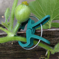 1 x RAW Customer Returns koitoy 110 PCS plant clips 2 sizes , plant holder for trellis tomatoes, roses, cucumbers and others, plant clips reusable, stable plant clips for climbing plants attachment - RRP €12.7