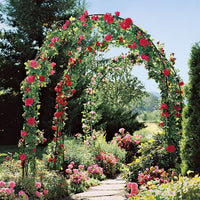 1 x RAW Customer Returns ATR ART TO REAL Metal Rose Arch, Stable Metal Rose Arch, Garden Arch Climbing Plants Pergola Outdoor, Wedding Decorations for Outdoor Ceremony, Wide Robust Metal Balloon Arbor Dark Green  - RRP €31.57