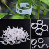 1 x RAW Customer Returns Winmany 100pcs Garden Plant Supports Tomato Clips Plant Twines Vine Trellis Cages Plant Vine Vegetable Fixing Clip Grafting Tools - RRP €10.86