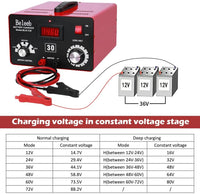 1 x RAW Customer Returns Beleeb Series C30 battery charger 12V 24V 36V 48V 60V 72V car battery charger, pulses of high voltage battery desulfator maintainer for lead acid lithium ion batteries - RRP €169.4