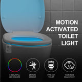 1 x RAW Customer Returns ZSZT LED toilet light, Motion Sensor toilet night light Battery operated toilet light Toilet lighting 8 colors for bathroom home - RRP €9.06