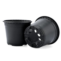 1 x RAW Customer Returns KINGLAKE Pack of 100 10 cm plant pots, plant pots, cultivation flower pot, plastic small cultivation pots, plastic pots, plants, garden, round for seeds, juicy flowers, black - RRP €16.99