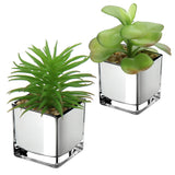 1 x RAW Customer Returns 3PCS Succulents Artificial Plant Decorative Plant in Glass Pot Decorative Mini Succulents Houseplant for Bathroom Balcony Bedroom Living Room Desk Decoration - RRP €20.16