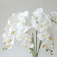 1 x RAW Customer Returns FagusHome 4 pieces artificial Phalaenopsis orchid flowers white 80CM with artificial orchid leaves 2 bundles for decoration white  - RRP €20.94