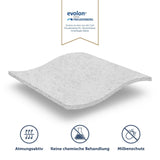 1 x RAW Customer Returns Blumtal Allergy mattress cover 200x220 cm for mattresses up to 16 cm - OEKO-TEx certified anti-mite mattress cover 200x220 cm - Encasing with zipper 200x220 mite cover - set of 1 - RRP €37.3