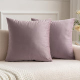 1 x RAW Customer Returns MIULEE Set of 2 Velvet Cushion Covers Pillow Case Sofa Cushion Decorative Throw Pillows Couch Cushions with Hidden Zipper Sofa Bedroom 26 x 26 Inch 65 x 65 cm Pink Purple - RRP €28.49