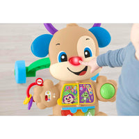 1 x RAW Customer Returns Mattel- Camper Puppy First Steps HHX15 Fisher Price Toys for Children, Multicolor, 446HHX15 - RRP €45.24