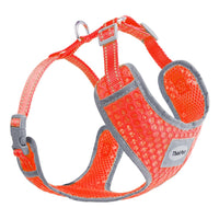 3 x Brand New ThinkPet Cat Harness, Comfortable Breathable Anti-Pull Cat Harness, Reflective Vest Harness, Adjustable Vest, Easy to Put on Harness - RRP €27.18