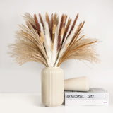 1 x RAW Customer Returns Pack of 120 Dried Pampas Grass, Natural Brown White Pampas Grass Fluffy Fronds Lagurus and Reed Flower Dried Flowers 44cm Bouquet Dried Flowers Home Decor - RRP €13.88