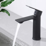 1 x RAW Customer Returns HOMELODY Faucet Bathroom Black Washbasin Faucet Mixer Tap Bathroom Faucet Bathroom Sink Faucet Single Lever Mixer - RRP €44.99