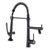 1 x RAW Customer Returns Kitchen faucet black, kitchen mixer tap 360 rotatable kitchen faucet, pull-out kitchen faucet with 2 sprays, pull-out kitchen faucet black - RRP €84.1