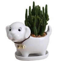 5 x Brand New ZOOFOX Set of 3 Cute Dog Flower Pots for Succulents with Drainage Tray, 13cm Ceramic Cactus Flower Pot, Small Bonsai Containers for Home Office Garden Decoration White, Blue and Pink  - RRP €102.0