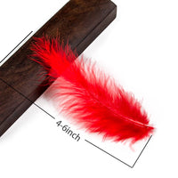 1 x RAW Customer Returns 200pcs Fluffy Marabou Feathers for Dream Catcher 4-6 inch Red Feathers for Crafts Dream Catcher Fringe Border Colored Feathers Accessories Pack - RRP €12.26