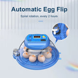 1 x Brand New OUYOLAD Egg Incubator, Automatic Egg Incubator Incubator for Farm Poultry Eggs Incubator for Chicken, Duck, Geese, Pigeon and Quail Eggs 8 Eggs - RRP €34.99