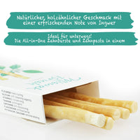 2 x RAW Customer Returns BLISSANY Miswak Brush - Natural toothbrush wood for sparkling white teeth - Vegan and environmentally friendly - Pack of 5 - RRP €19.88