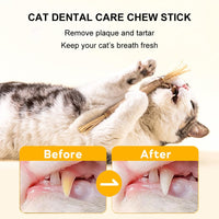 17 x Brand New Cat Molar Stick, Cat Teeth Care Sticks, Wooden Catnip Sticks, 6 Pieces Chewing Sticks for Cats, Catnip Toy, for Dental Care Practice for Cats, Butyeak - RRP €306.0