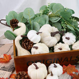 1 x RAW Customer Returns Vibbang 8 Pieces Pumpkin Halloween Decorations Set, Halloween Pumpkin Ornaments Simulation Pumpkin Mini Artificial Pumpkins Decorations, Outdoor Indoor Autumn Decorative Decorations White  - RRP €22.8