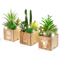 1 x RAW Customer Returns BEGONDIS set of 3 artificial succulents with LED lights in wooden box, artificial plants plastic topiary for home office decorations, table decoration, Valentine s Day. - RRP €26.99