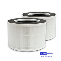 2 x RAW Customer Returns PUREBURG 2-Pack Replacement Filters Compatible with MEDION MD 19778 Air Purifier, Activated Carbon and True HEPA - RRP €65.0