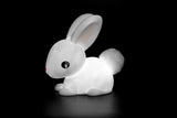 1 x Brand New  D hink DHINK - USB Rechargeable Rabbit Children s LED Night Light - Night Lamp for Baby and Children s Bedrooms with Timer and Color Changing - DHINK376-21 - RRP €30.94