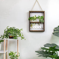 5 x Brand New Erpmlyo Wall Mounted Hanging Plants Test Tube Flower Bud Glass Terrarium Wooden Frame for Home Garden Wedding Decoration - RRP €102.0