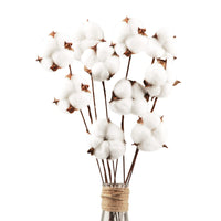 2 x RAW Customer Returns Larber 10 Pieces Cotton Stems Decoration Artificial Farmhouse Cotton Flowers Rustic Style Floral Picks Rustic Cotton Vase Filler for Flower Decoration Stem,42cm - RRP €25.96