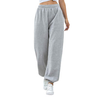 1 x RAW Customer Returns Nuofengkudu Women s Harem Jogger Pants Warm Sweatpants with Big Pockets High Waist Loose Long Elastic Ankle Classic Baggy Fitness Winter Sports Running Trousers Home Fleece-Grey,M  - RRP €26.21