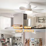 1 x RAW Customer Returns Asslye ceiling fan with lighting and remote control, E26 E27 ceiling lamp with fan, 40W LED ceiling light with fan, adjustable wind speed, 3 color temperatures, timer - RRP €36.29