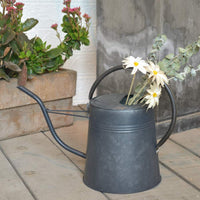 1 x RAW Customer Returns HORTICAN watering can, garden watering can made of galvanized zinc, for indoor and outdoor use, flowers, houseplants, garden tools for irrigation with narrow long nozzle and high handle 1.5 liters  - RRP €25.2